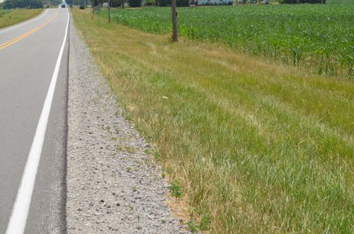 Property photo 29 - 51.5 Acres Offered in 5 tracts, 2 Farm Sites